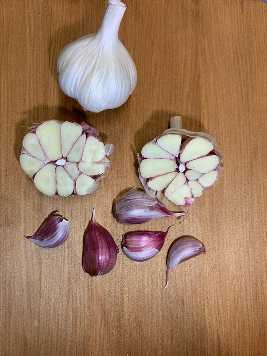 Spanish Roja Garlic