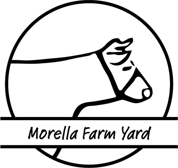 Morella farm Yard