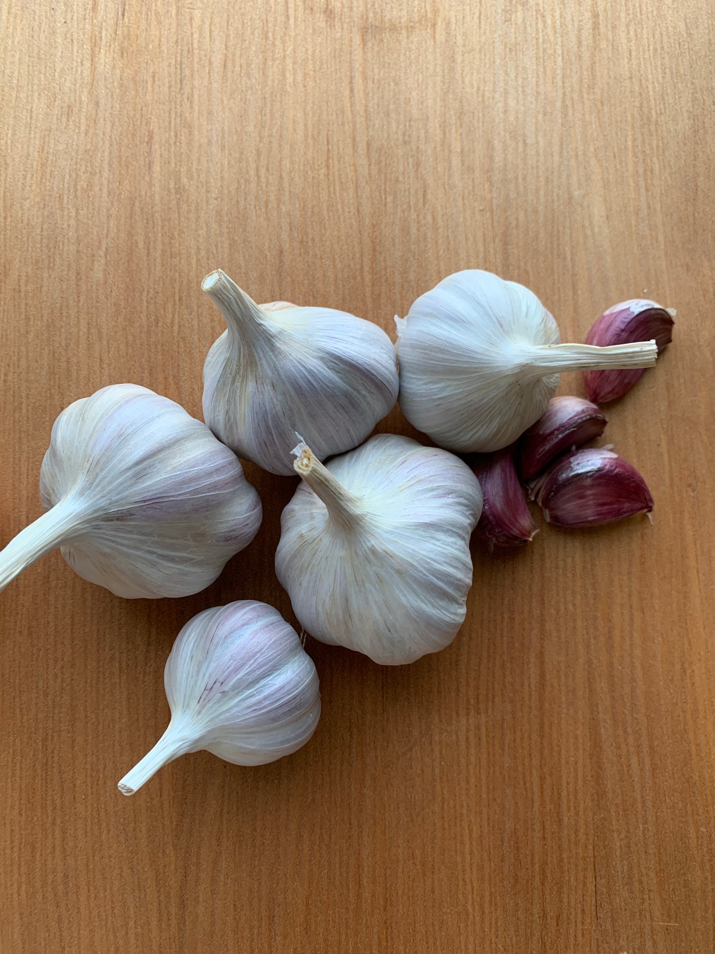 Rojo De Castro Garlic